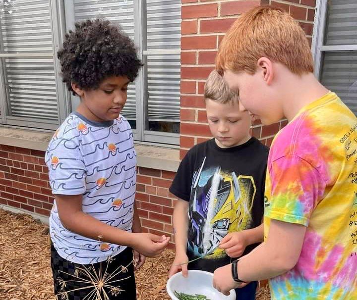 Curriculum & Enrichment